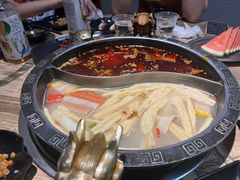 -销魂美蛙鱼头火锅(上海首店)