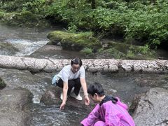 -汤旺河林海奇石景区