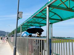 -花岙岛