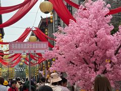 -武汉园博园(武汉自然博物馆)