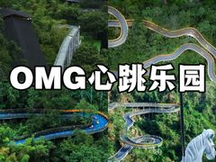 -大奇山国家森林公园