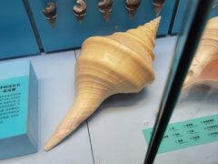 -天津自然博物馆