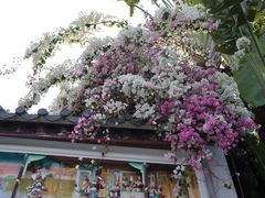 -深圳国际园林花卉博览园