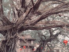 -云水谣景区