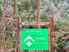-姑婆山旅游区