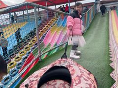 -华西村