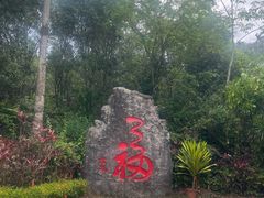-七仙岭温泉国家森林公园
