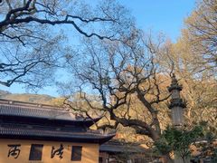 -普陀山风景名胜区-法雨禅寺