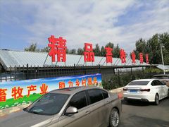 -长春农博园