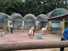 -北京市海淀外国语实验学校