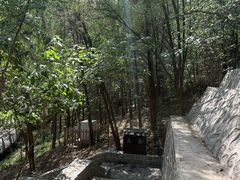 -白水寺森林公园