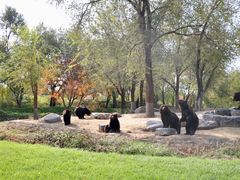 -北京野生动物园