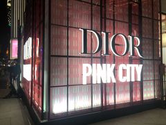 -Dior迪奥(上海世茂广场店)