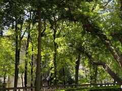 -福建师范大学(仓山校区)