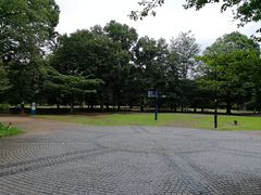 -三鹰之森吉卜力美术馆