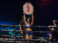 -芭提雅MAX泰拳馆