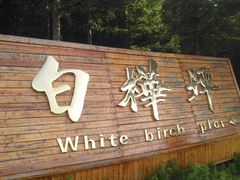 -木兰围场