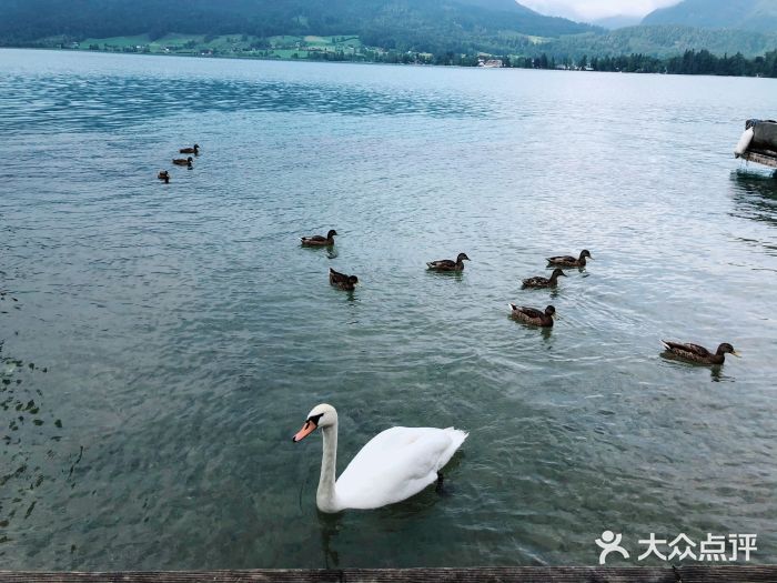 沃尔夫冈湖图片