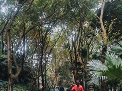 -刘家花园·柴火鸡·中餐酒楼·西昌烧烤(三圣乡店)