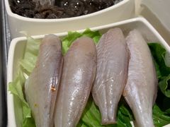 扒皮鱼-海底捞火锅(奥体南路店)
