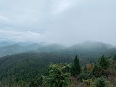 -武陵山森林公园