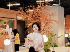 -帕帕拉兹宠物(亚洲旗舰店)