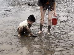 -南汇嘴观海公园