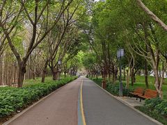 -顺峰山公园
