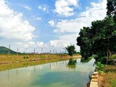 -风云岭森林公园