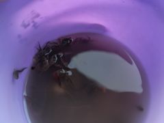 -南汇新城海滩