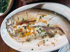 -源水鱼庄·翘嘴鲌店·老字号