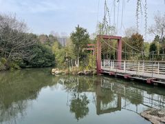 -天鹅湖体育公园