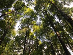 -山王坪喀斯特国家生态公园