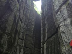 -梦幻奥陶纪景区