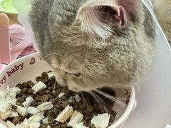 -美联众合动物医院·24h京西诊疗中心