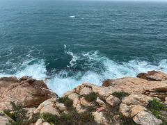 -广东惠东海龟国家级自然保护区