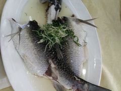 盐水蒸鲩鱼-水乡人家私房菜(逢简店)