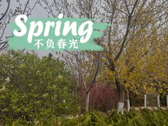 -大连植物园