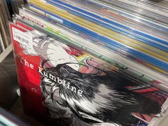 -浣熊唱片店(上海影城店)