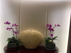 -馨月汇·独栋月子会所(静安店)