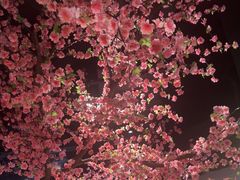 -宋徽厨·安徽菜(绿地店)