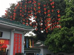 -晓港公园