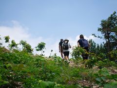 -素山寺森林公园