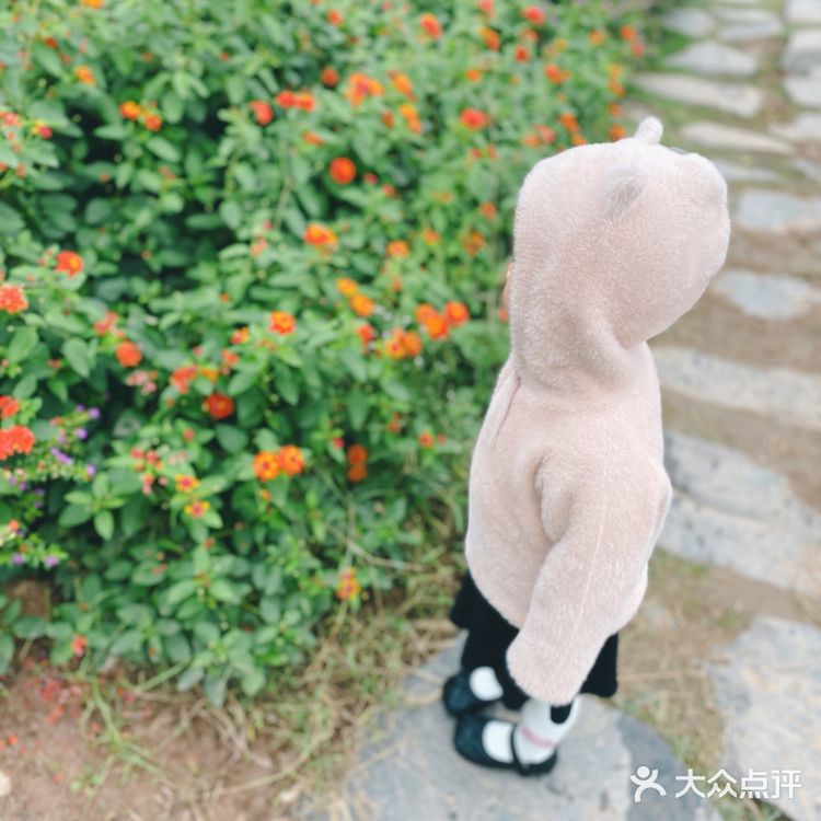 成都周边游｜官塘新村 文艺村落