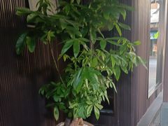 -阿伟海鲜楼·福建菜(涵江店)