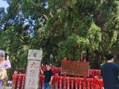 -四门塔风景区