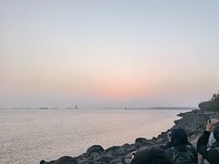 -上海吴淞炮台湾国家湿地公园