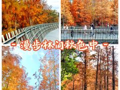 -梅峰山地公园