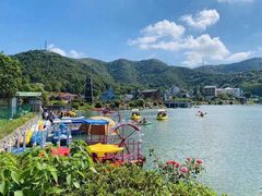 -花岙岛