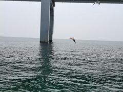 -星海湾跨海大桥